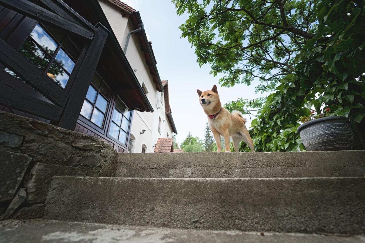 Penzion Onyx Cesky Krumlov Exterior photo